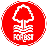 Nottingham Forest Banner