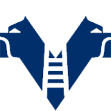 Hellas Verona Banner