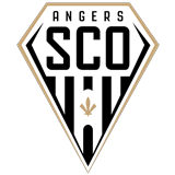 Angers Banner