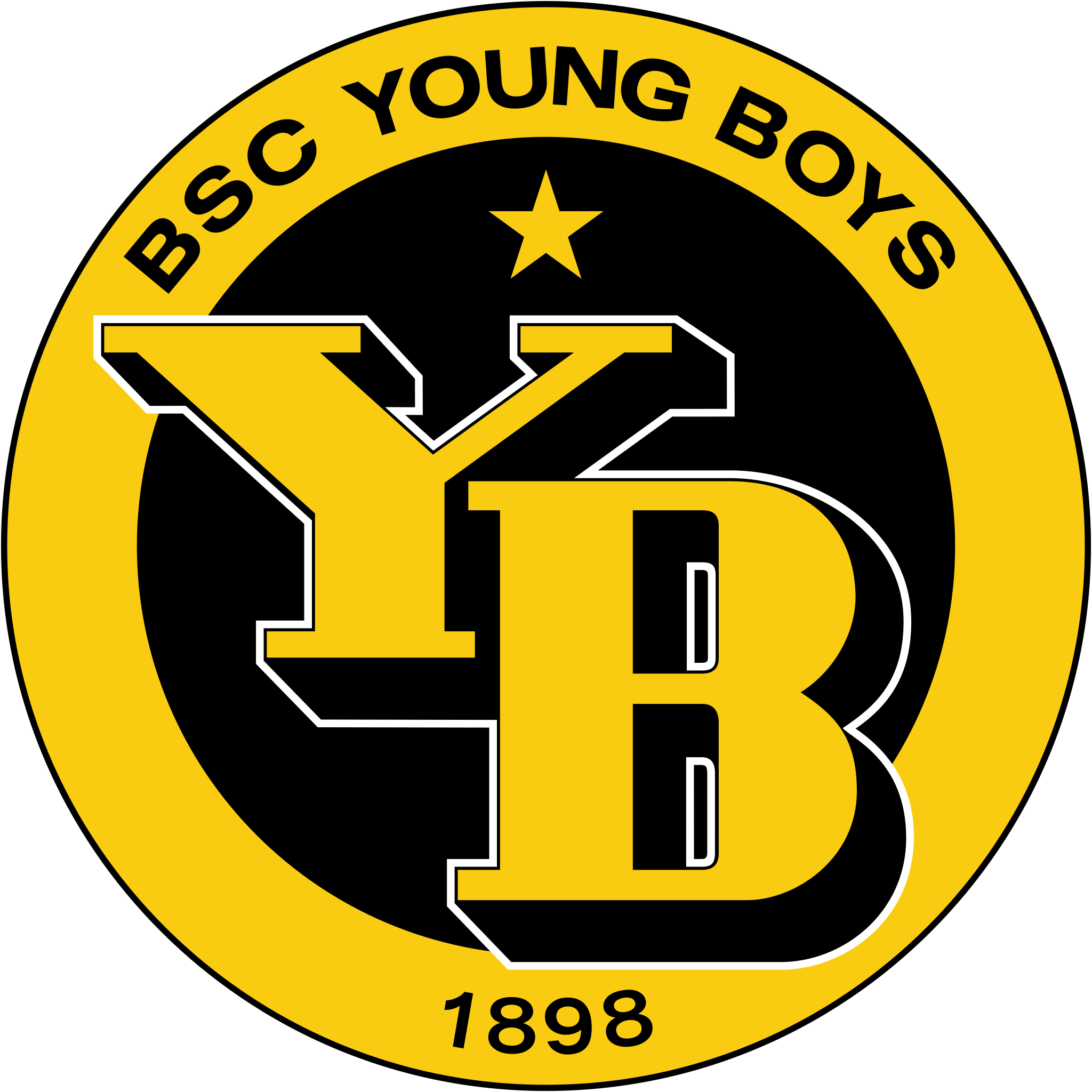 BSC Young Boys Banner
