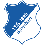 Hoffenheim Banner