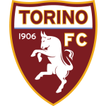 Torino Banner